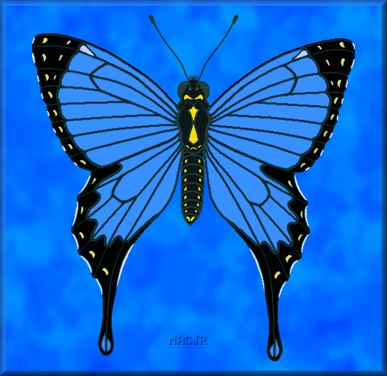 Unfinished Imaginary Swallowtail Butterfly Unfinished Imaginary Swallowtail Butterfly